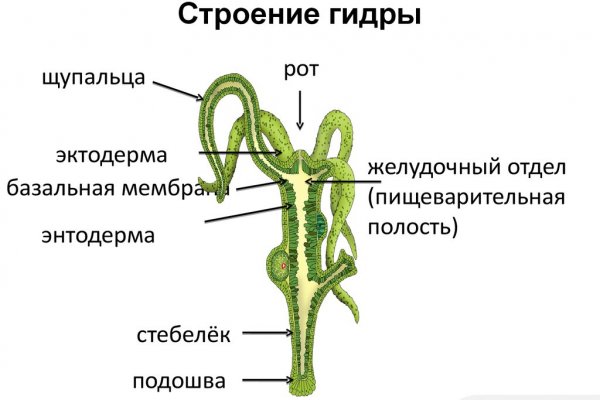 Кракен перестал работать