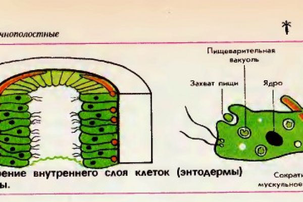 Кракен сайт вход официальный зеркало