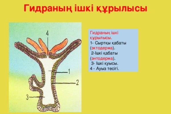 Кракен ссылка на сайт com